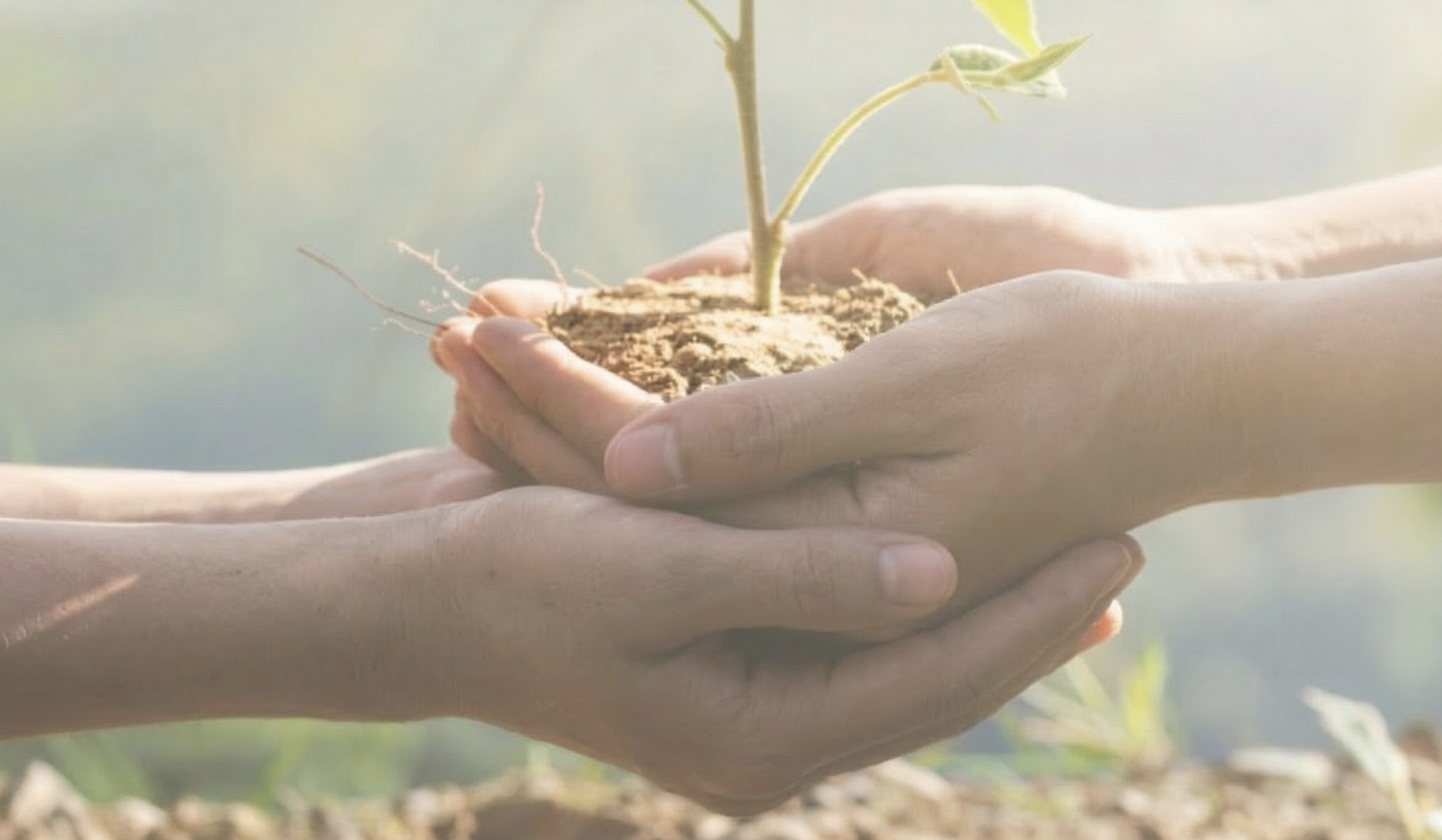 Memacu Pembungkusan Lestari di Malaysia dengan Recycled Cellulose Pulp (RCP)